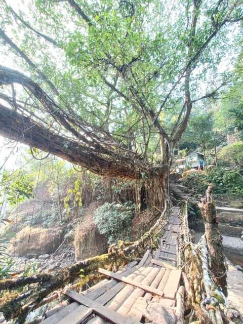 Odyssey Stays Nongriat - 3Kms Trek From Main Road Cherrapunji Esterno foto